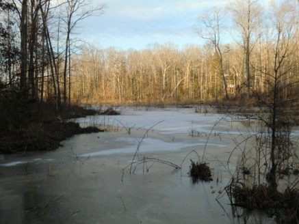 Winter reservoir scene